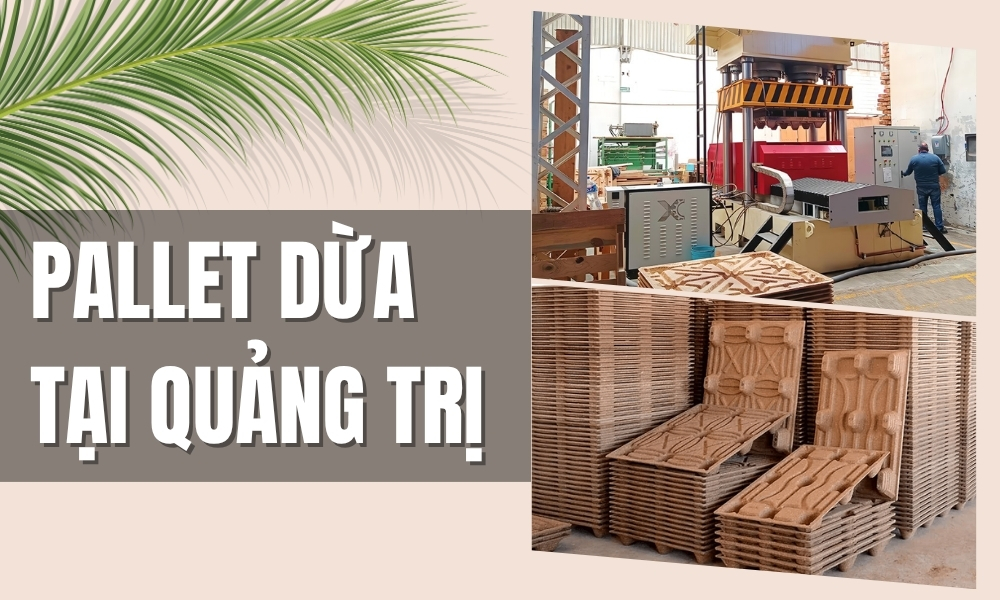 Pallet dừa tại Quảng Trị