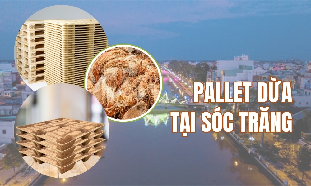 Pallet Dừa Tại Sóc Trăng