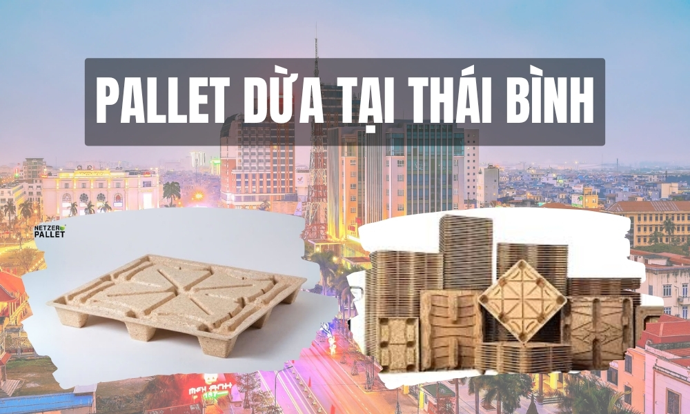 Pallet Dừa Tại Thái Bình