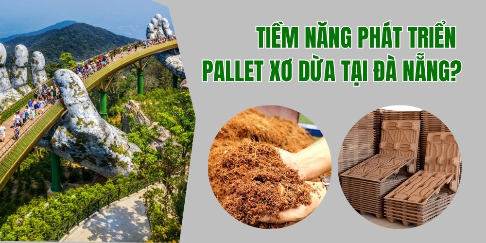 Pallet dừa tại Đà Nẵng – Giải pháp xanh hiệu quả cho doanh nghiệp hiện đại 2 TIỀM NĂNG PHÁT TRIỂN PALLET XƠ DỪA TẠI ĐÀ NẴNG