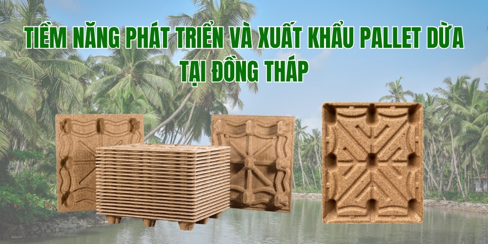 Tiềm Năng Phát Triển Và Xuất Khẩu Pallet Dừa Tại Đồng Tháp
