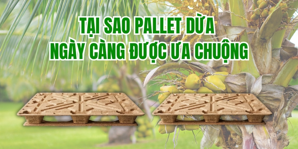 Tại Sao Pallet Dừa Ngày Càng Được Ưa Chuộng