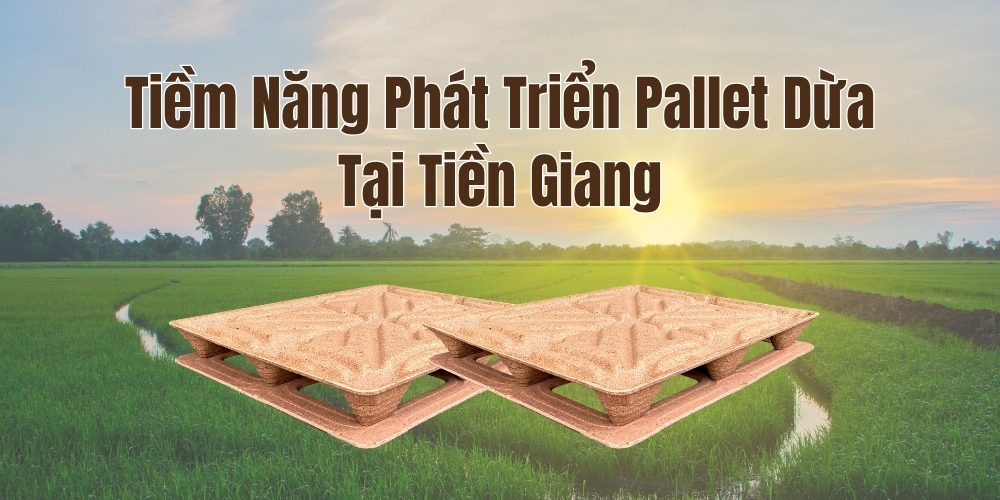 Tiềm Năng Phát Triển Pallet Dừa Tại Tiền Giang
