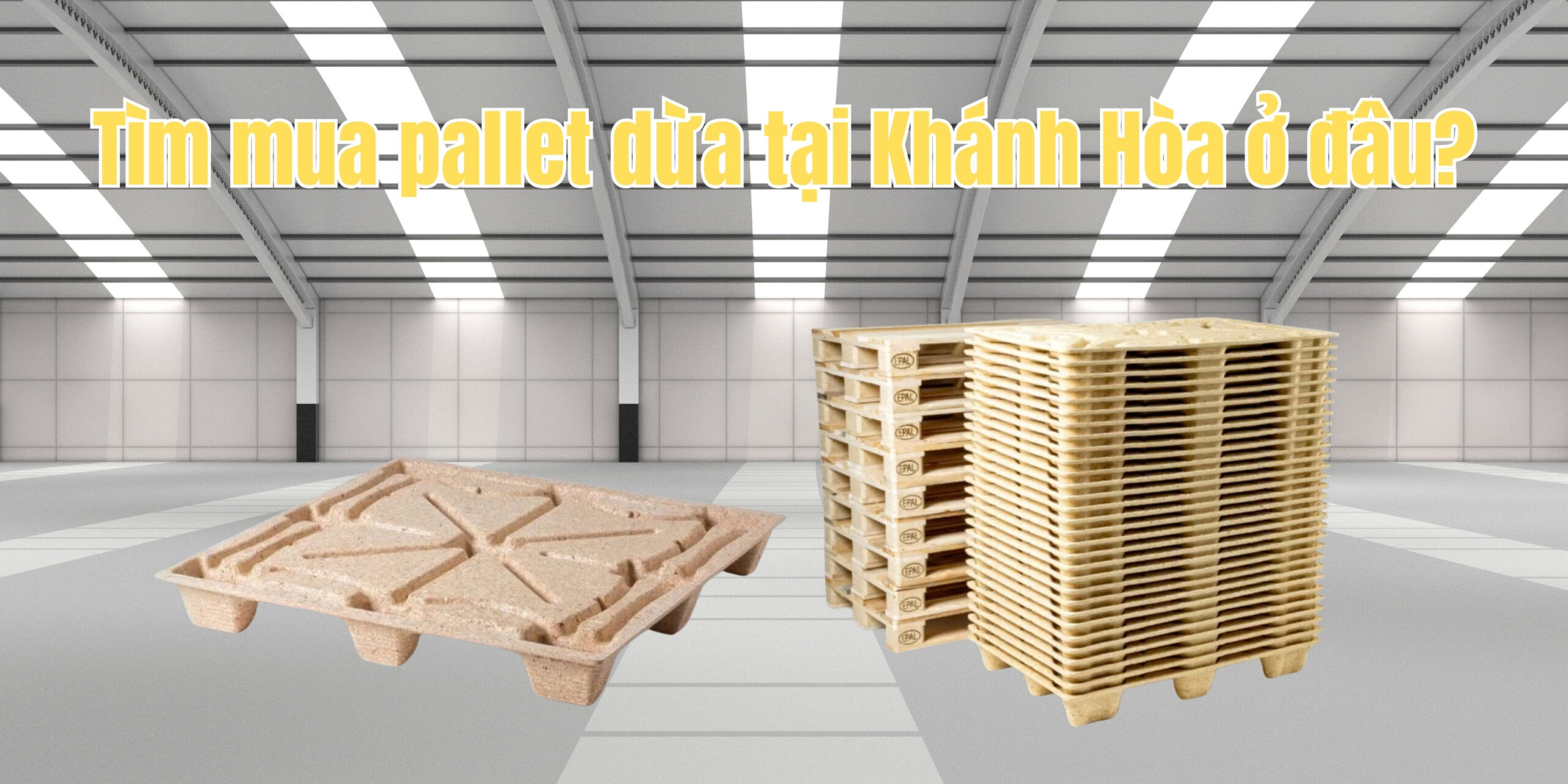 Tim mua pallet tai Khanh Hoa o dau scaled