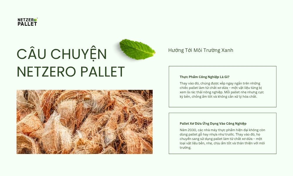 Từ phụ phẩm nông nghiệp đến sản phẩm công nghệ Câu chuyện NetZero Pallet