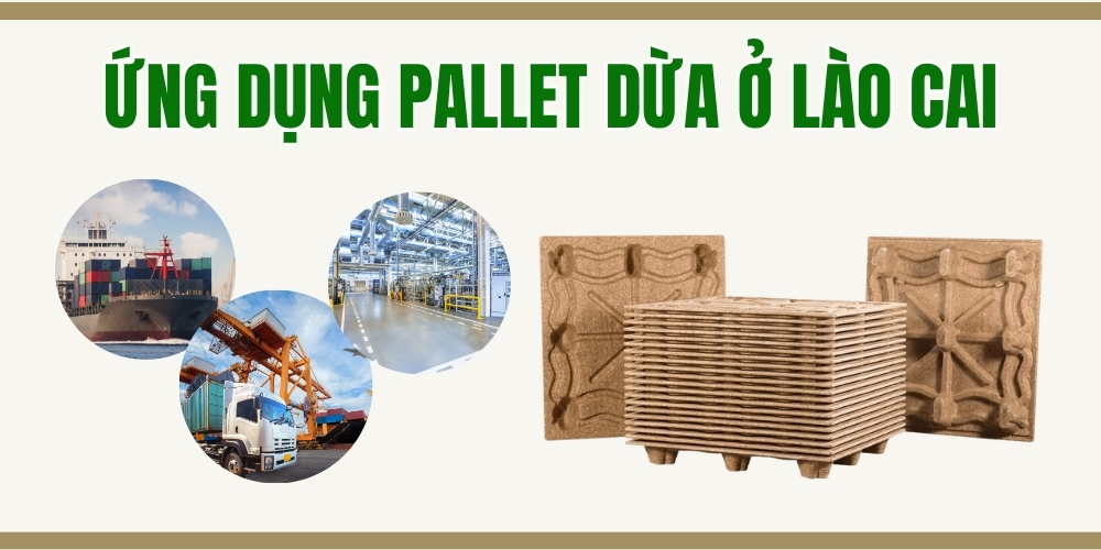 Ứng dụng pallet ở Lào Cai
