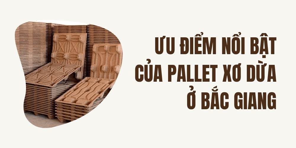 Pallet dừa ở Bắc Giang – Giải pháp sinh học cho vận chuyển và xuất khẩu hàng hóa 2 Ưu Điểm Nổi Bật Của Pallet Xơ Dừa Ở Bắc Giang