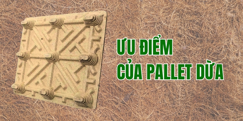 Giải Pháp Pallet Dừa Tại Bạc Liêu: Bền Vững, Sinh Học Và Thân Thiện Môi Trường 2 Ưu điểm của pallet dừa tại Bình Phước