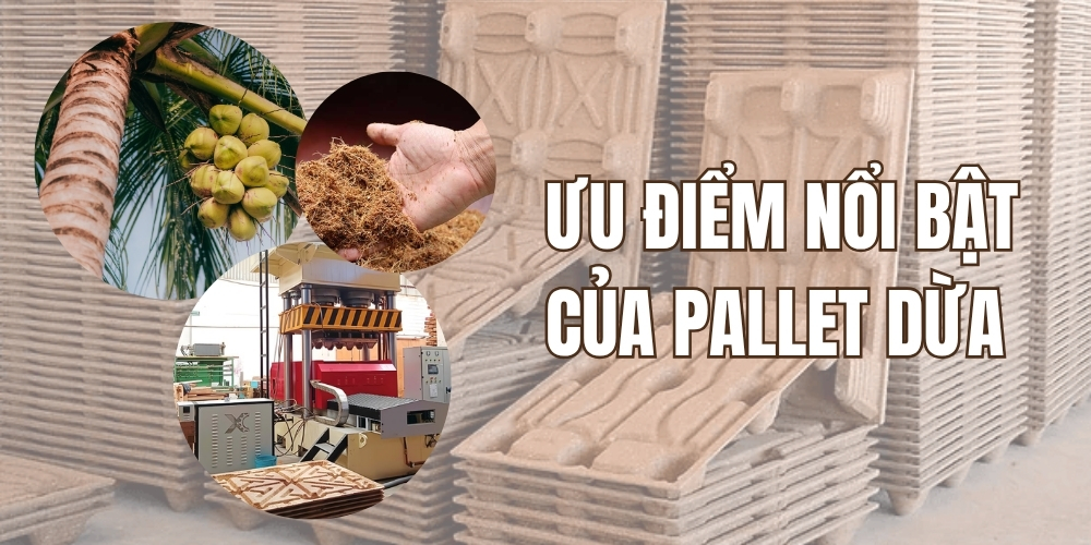 Ưu Điểm Nổi Bật Của Pallet Dừa