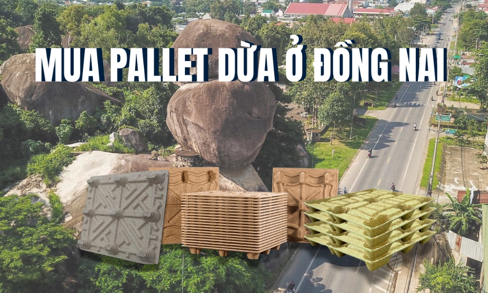 mua pallet dua o dong nai
