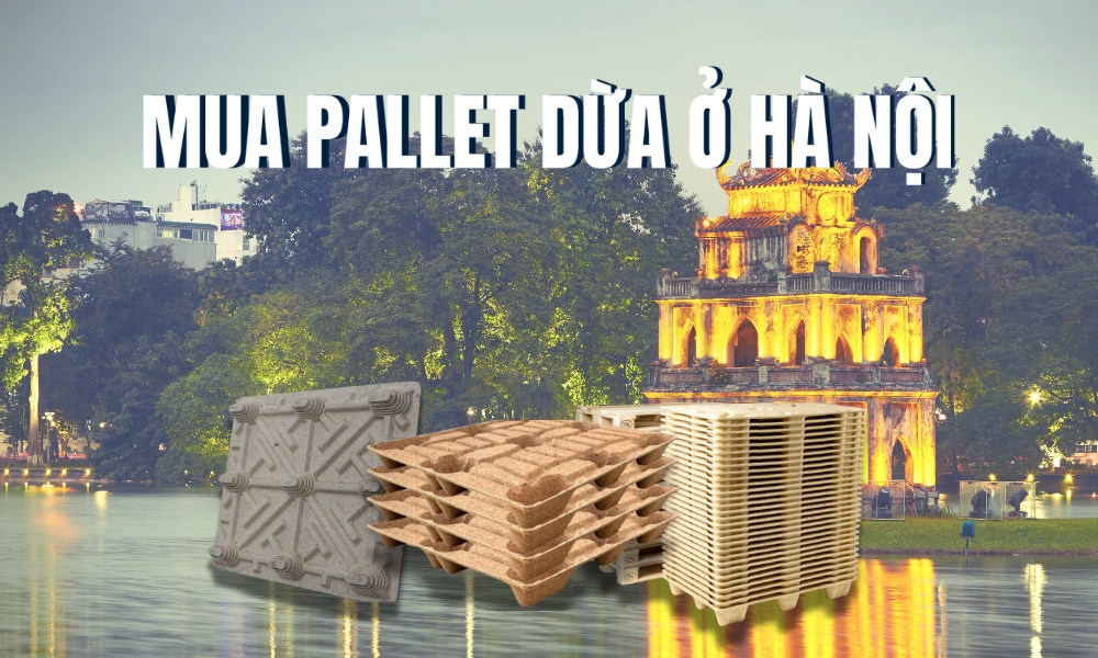 mua pallet dua o ha noi