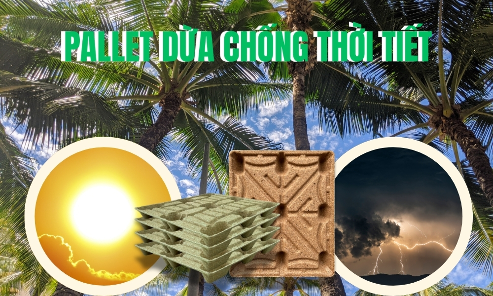 Pallet Xơ Dừa Chống Thời Tiết - Giải Pháp Chống Mưa Nắng Hiệu Quả