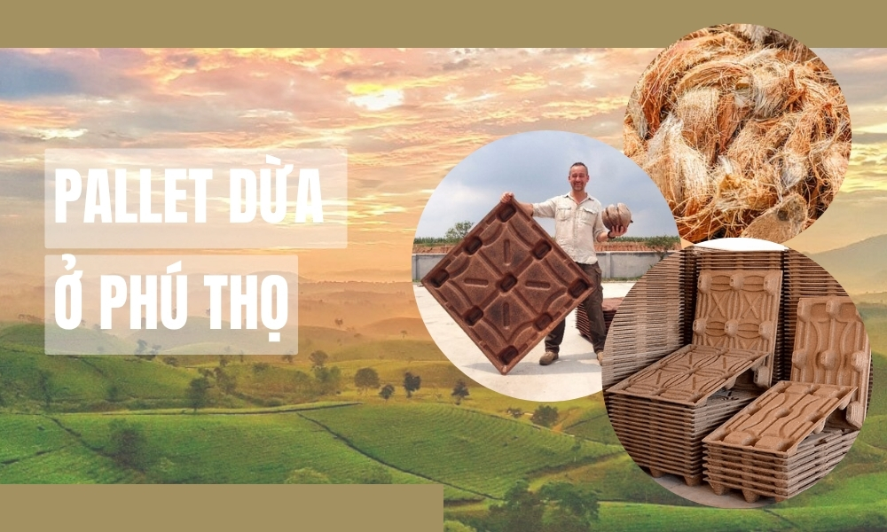 pallet dừa ở Phú Thọ