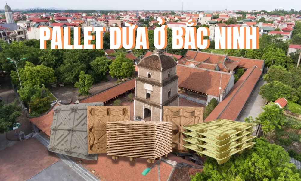 Pallet Dừa Ở Bắc Ninh - Kết Hợp Văn Hóa Và Xanh Bền Vững