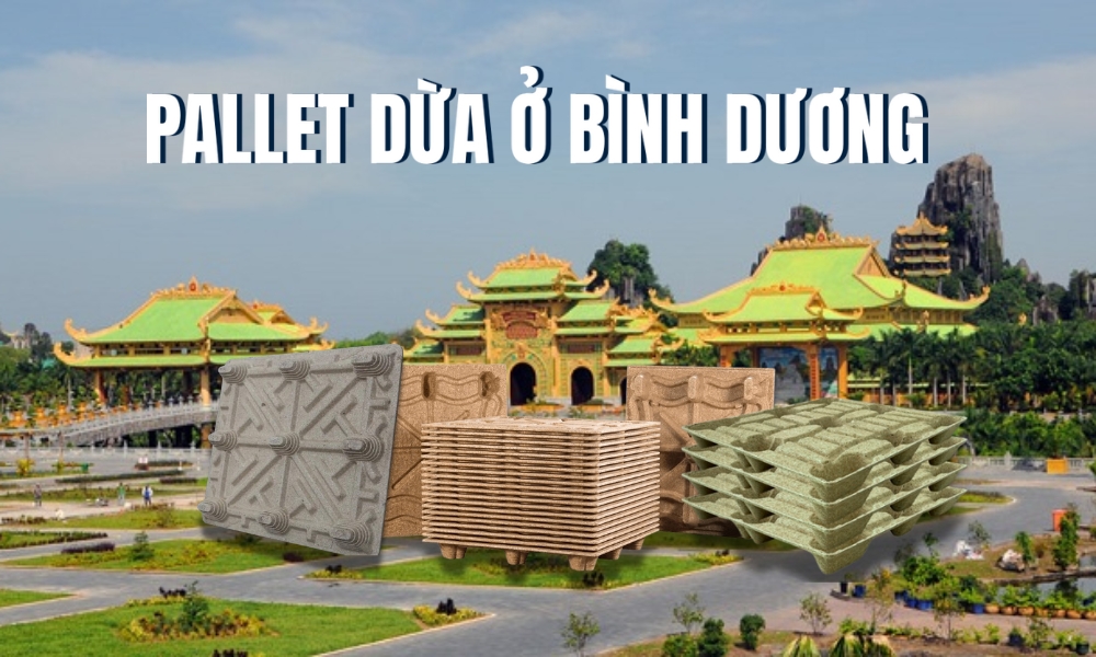 Pallet Dừa Ở Bình Dương - Giải Pháp Tiết Kiệm Cho Đa Ngành Nghề
