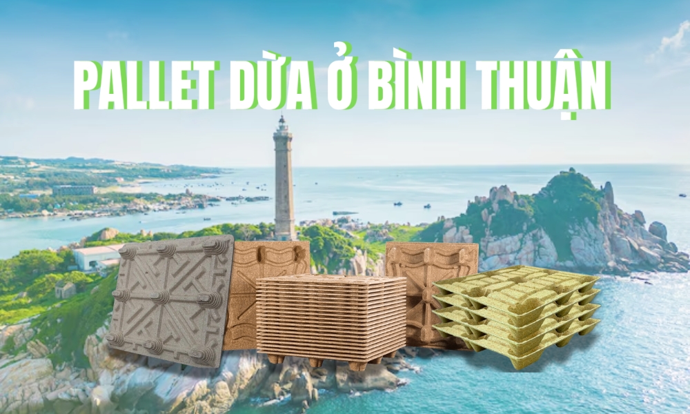 Pallet Dừa Ở Bình Thuận - Thúc Đẩy Kinh Tế Và Du Lịch Bền Vững