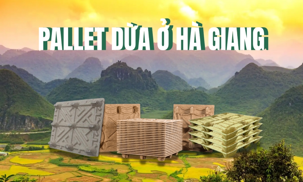 Pallet Dừa Ở Hà Giang - Cơ Hội Phát Triển Toàn Diện