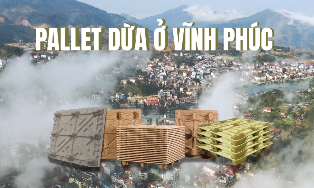 Pallet Dừa Ở Vĩnh Phúc - Tiềm Năng Phát Triển Kinh Tế Mới