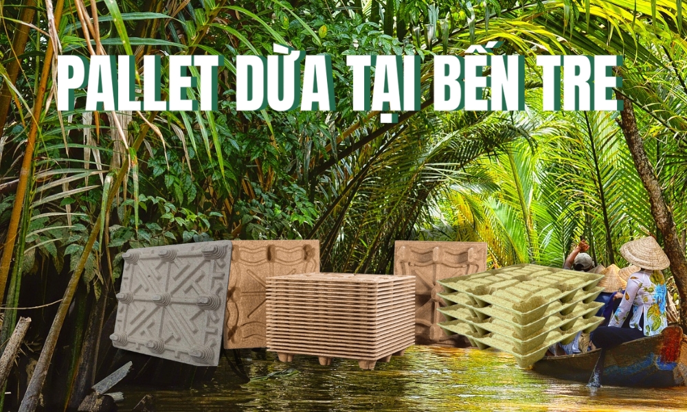 pallet dua tai ben tre
