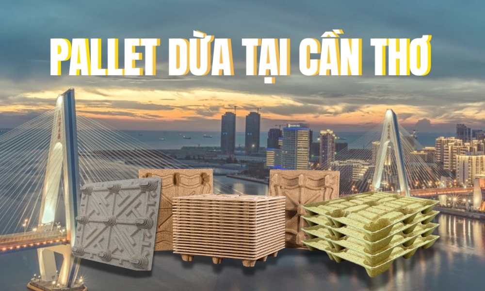 Pallet Dừa Tại Cần Thơ - Phát Triển Xanh Đa Lĩnh Vực
