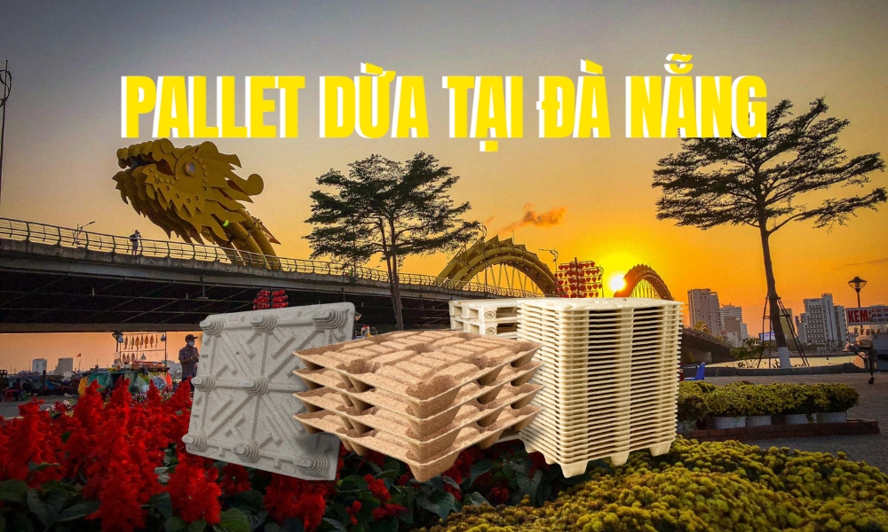 Pallet Dừa Tại Đà Nẵng - Lối Đi Xanh Bền Vững Cho Thành Phố Biển