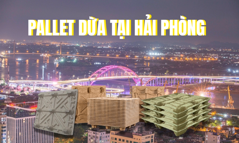 Pallet Dừa Tại Hải Phòng - Thúc Đẩy Phát Triển Kinh Tế Đa Ngành