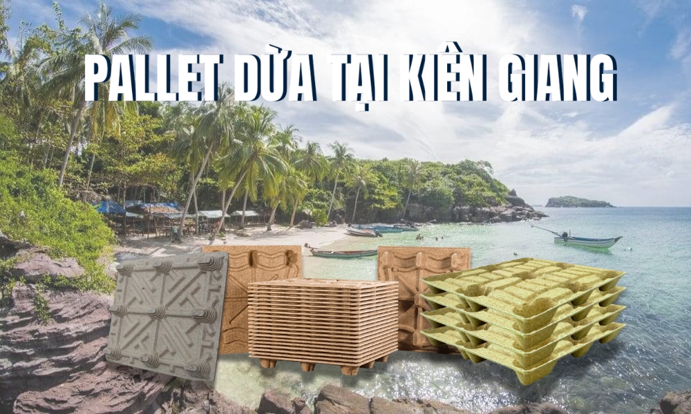 pallet dua tai kien giang