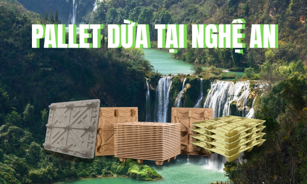 pallet dua tai nghe an