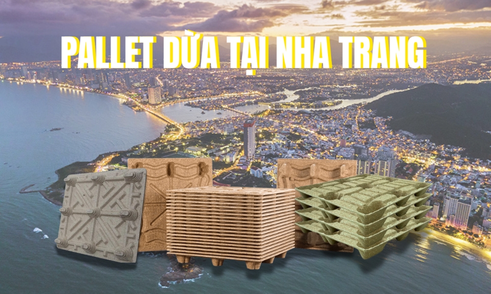 Pallet Dừa Tại Nha Trang - Nâng Tầm Kinh Tế Và Du Lịch