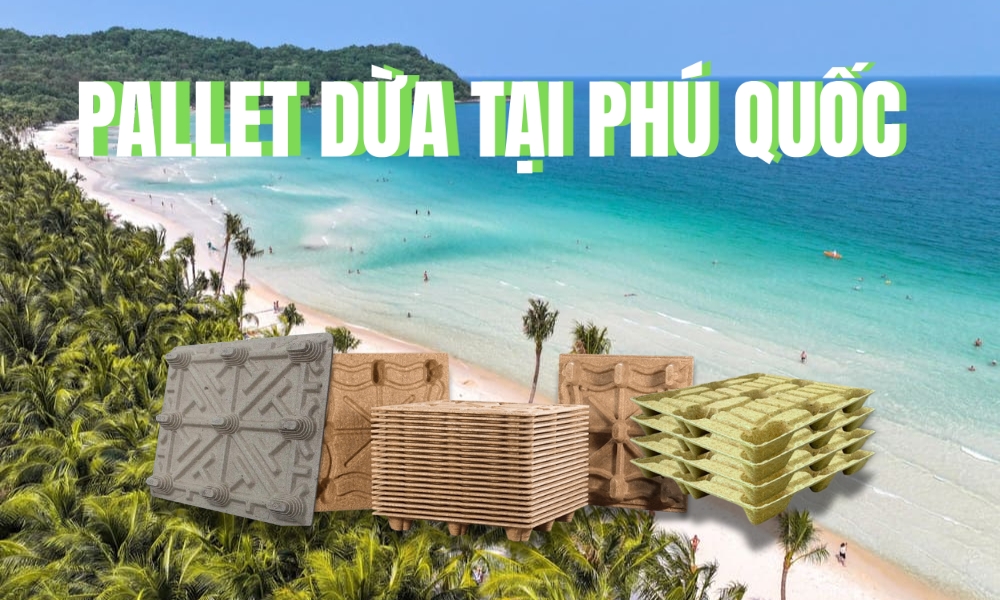 pallet dua tai phu quoc
