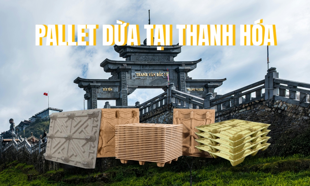 Pallet Dừa Tại Thanh Hóa - Hướng Đi Khác Biệt Cho Kinh Tế