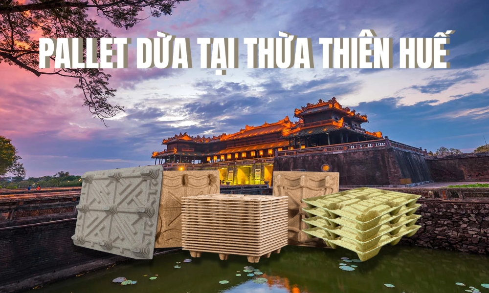 Pallet Dừa Tại Thừa Thiên Huế - Giá Trị Xanh Trường Tồn