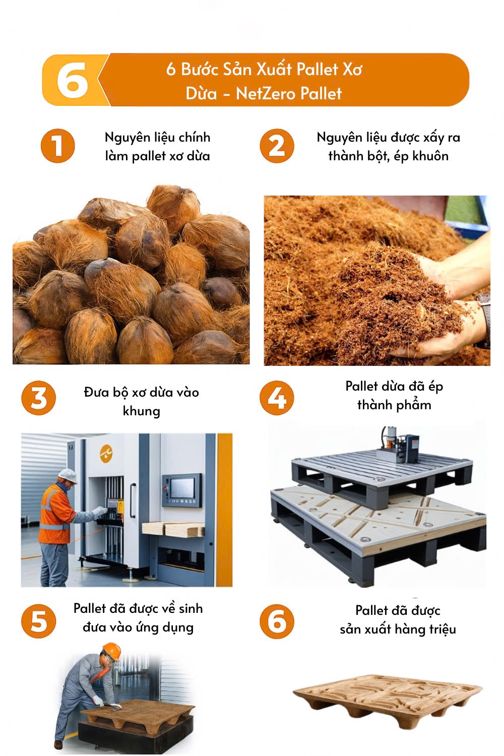 Quy trình sản xuất netzero pallet
