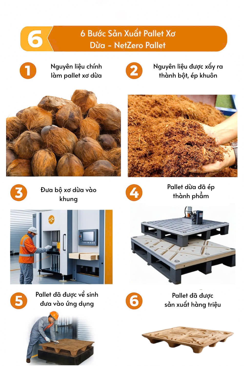 Quy Trình Sản Xuất Pallet