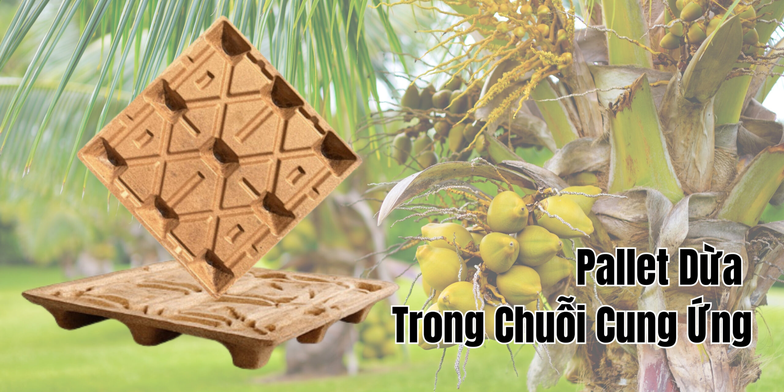 Pallet Dừa Trong Chuỗi Cung Ứng