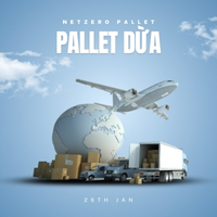 Pallet Dừa xuất khẩu